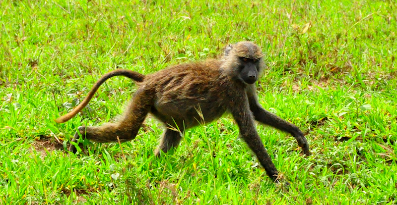 Melanie Heinrich Travel Images Africa